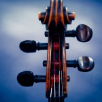 Profile picture of Arturs Krūmiņš